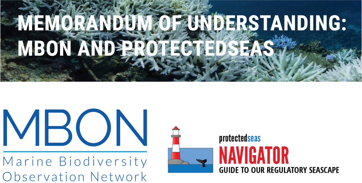 MarineBON1's tweet photo. 📣 A new international collaboration agreement was signed between @MarineBON1 and #ProtectedSeas to share capacity development to observe and preserve data on life in the sea in compliance with ocean regulations.
Full news: https://t.co/u6dzCdAspe https://t.co/rfbCy0v3cp