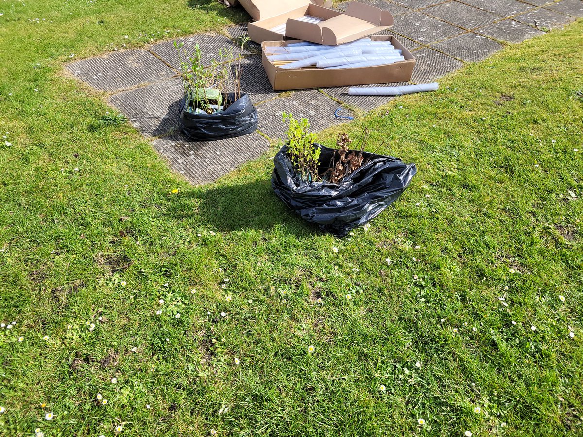 HBJSCH63's tweet photo. Massive thanks to Dave Armson @merseyforest for planting 200 mixed hedgerow and other trees from @WoodlandTrust as part of our school aim to develop outdoor learning and play. #HBJSOUTDOORLEARNING #HBJSNATURALCURRICULUM https://t.co/oWHLAwyC6H