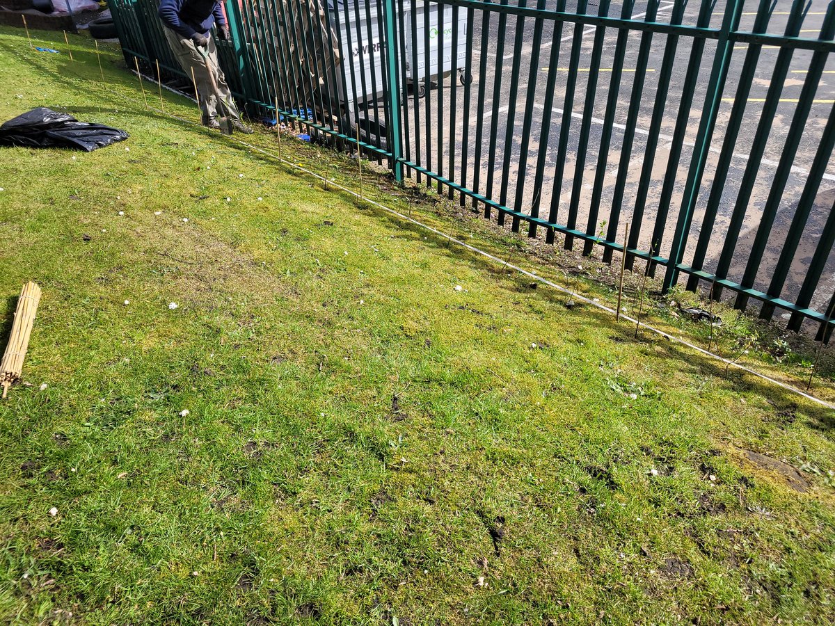 HBJSCH63's tweet photo. Massive thanks to Dave Armson @merseyforest for planting 200 mixed hedgerow and other trees from @WoodlandTrust as part of our school aim to develop outdoor learning and play. #HBJSOUTDOORLEARNING #HBJSNATURALCURRICULUM https://t.co/oWHLAwyC6H