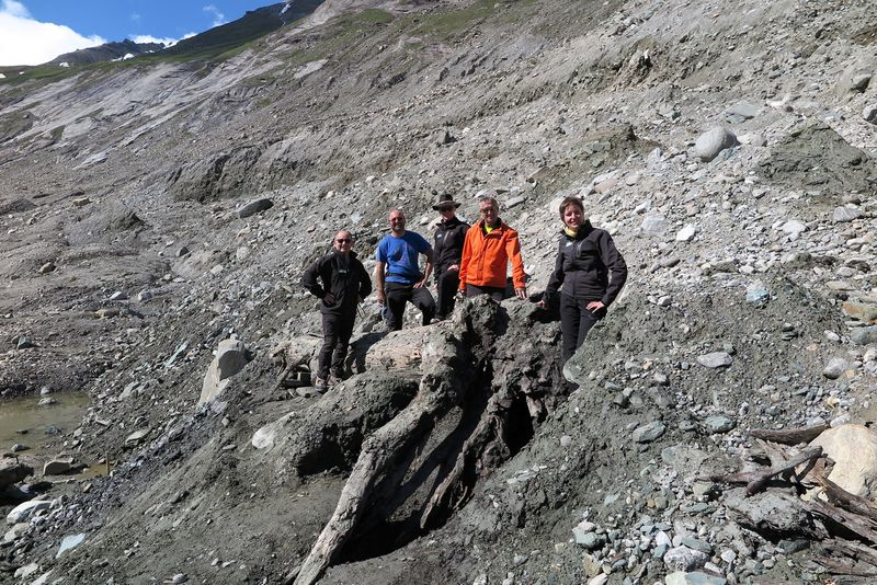 'Die schmelzende Gletscherzunge gibt verstärkt Holzfragmente und Torfstücke frei. Die Funde belegen, dass in den Bereichen, wo heute Eis, Schutt, Sand und Wasser regieren, zwischen 9000 und 3500 Jahren hochstämmige, alte Zirben wachsen konnten - eine unglaubliche Vorstellung.'