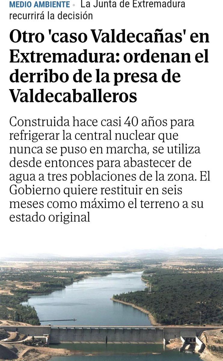 El Palleter tweet media