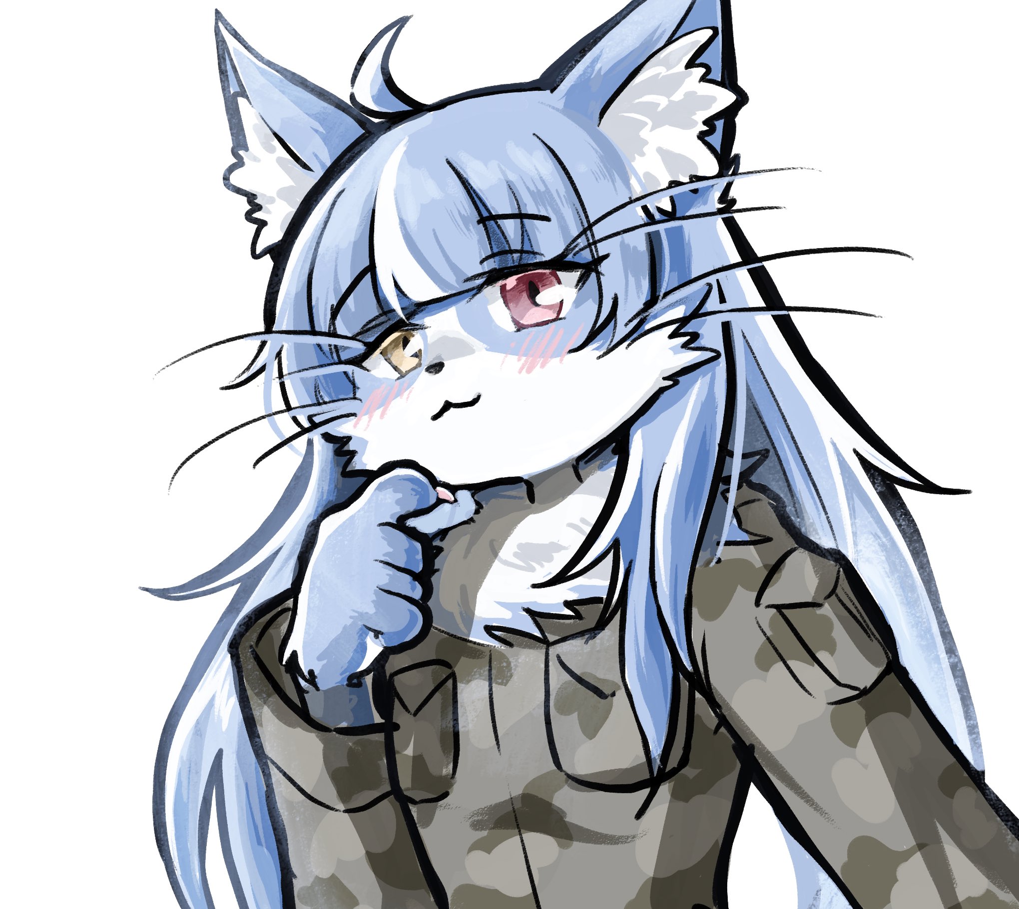 はまねこ 篠生𓍣 on X: 