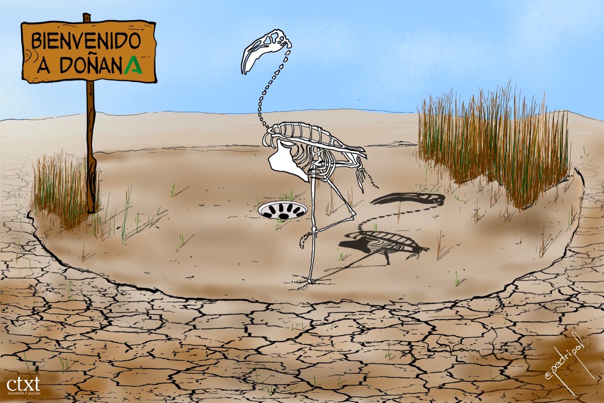 AquilaNatura's tweet photo. "Doñana se está muriendo, por  su bien más esencial el agua".

Días tristes, muy tristes.

#DoñanaSeExtingue https://t.co/hJcbfcUYsm