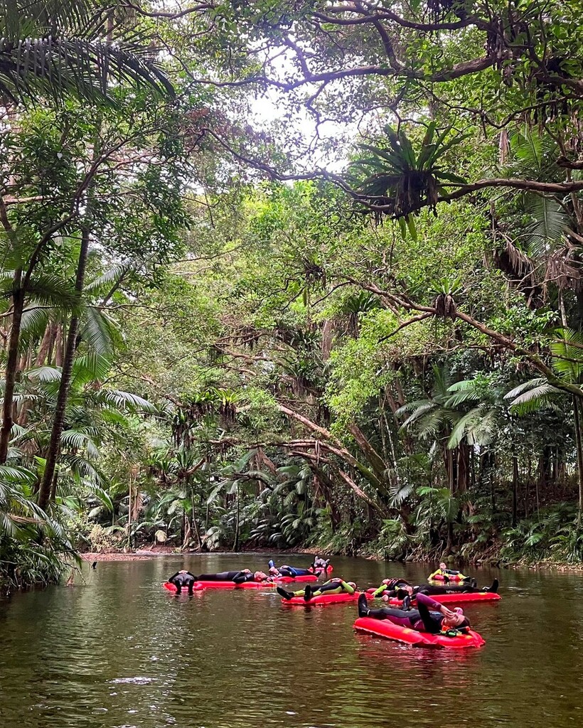 BackCountryBlis's tweet photo. Take a moment to reconnect with nature as you explore the world's oldest tropical rainforest. 🌿 With small group tours, you'll be able to relax and listen to the best soundtrack on Earth. 🎶🍃 #BackCountryBliss 

#portdouglasdaintree #exploretnq #thisi… https://t.co/pHMtImk0PV https://t.co/ZD4vClt7WO
