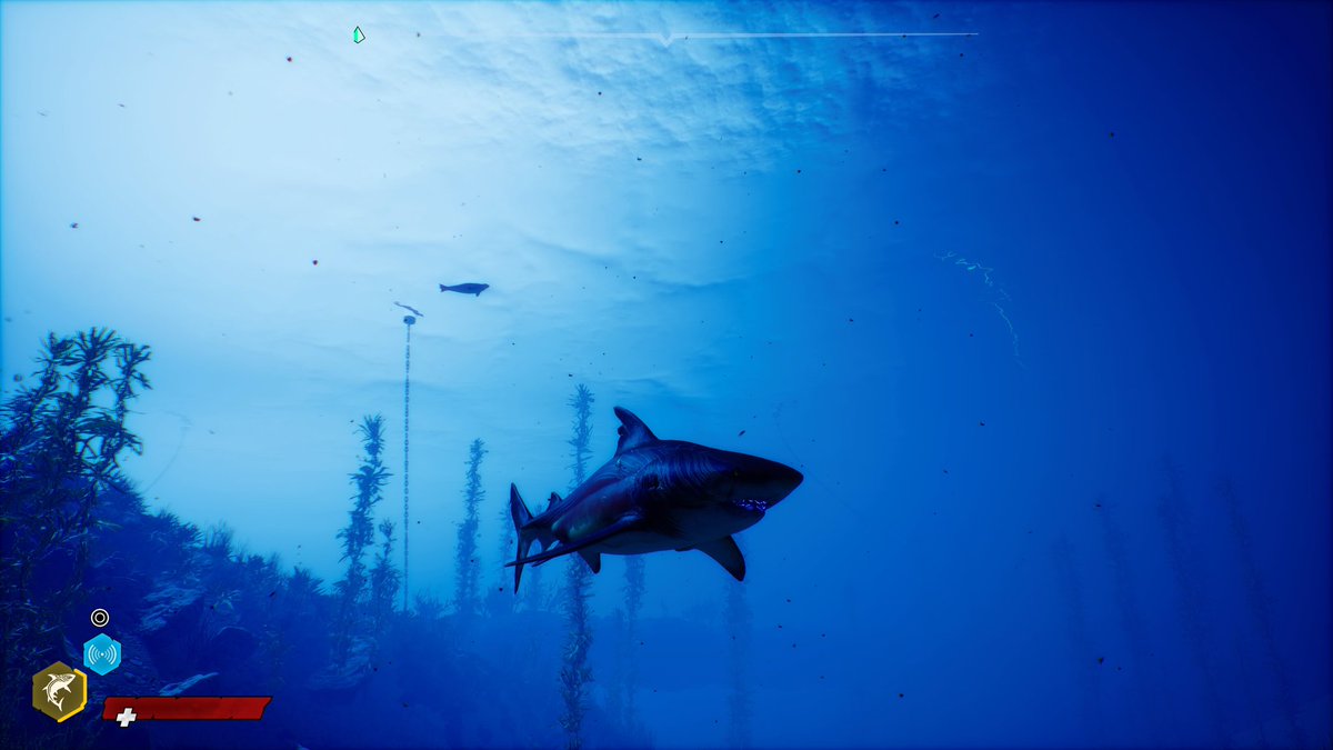 AvianWizard's tweet photo. @maneatergame is a fun game. I hate I just started playing it the other day.

#shark #Maneater #playstation5 #videogame https://t.co/ScbG7CH9L3
