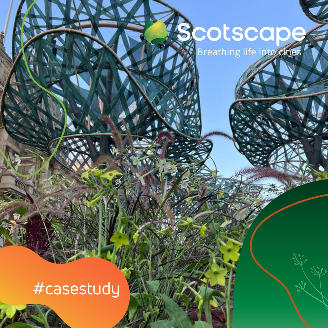 Scotscape Group (@scotscapewalls) on Twitter photo Read our latest case study to find out more about this epic <a href="/Poli_Nations/">PoliNations</a> super garden project we were involved with last September, helping to transform #Birmingham city centre into a vibrant living oasis: scotscape.co.uk/projects/case-…
#urbangreening #biodiversity #polinations Read our latest case study to find out more about this epic <a href="/Poli_Nations/">PoliNations</a> super garden project we were involved with last September, helping to transform #Birmingham city centre into a vibrant living oasis: scotscape.co.uk/projects/case-…
#urbangreening #biodiversity #polinations