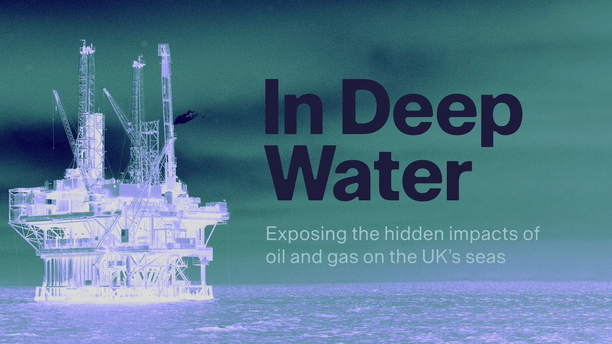 SeahorseEnv's tweet image. 🚨New #InDeepWater report from Uplift &amp;amp; @oceana reveals the devastating impact of the oil and gas industry on the UK's seas:
☢️Toxic chemicals
🔬Microplastics
🔊Extreme noise pollution

Find out more at: indeepwater.co.uk