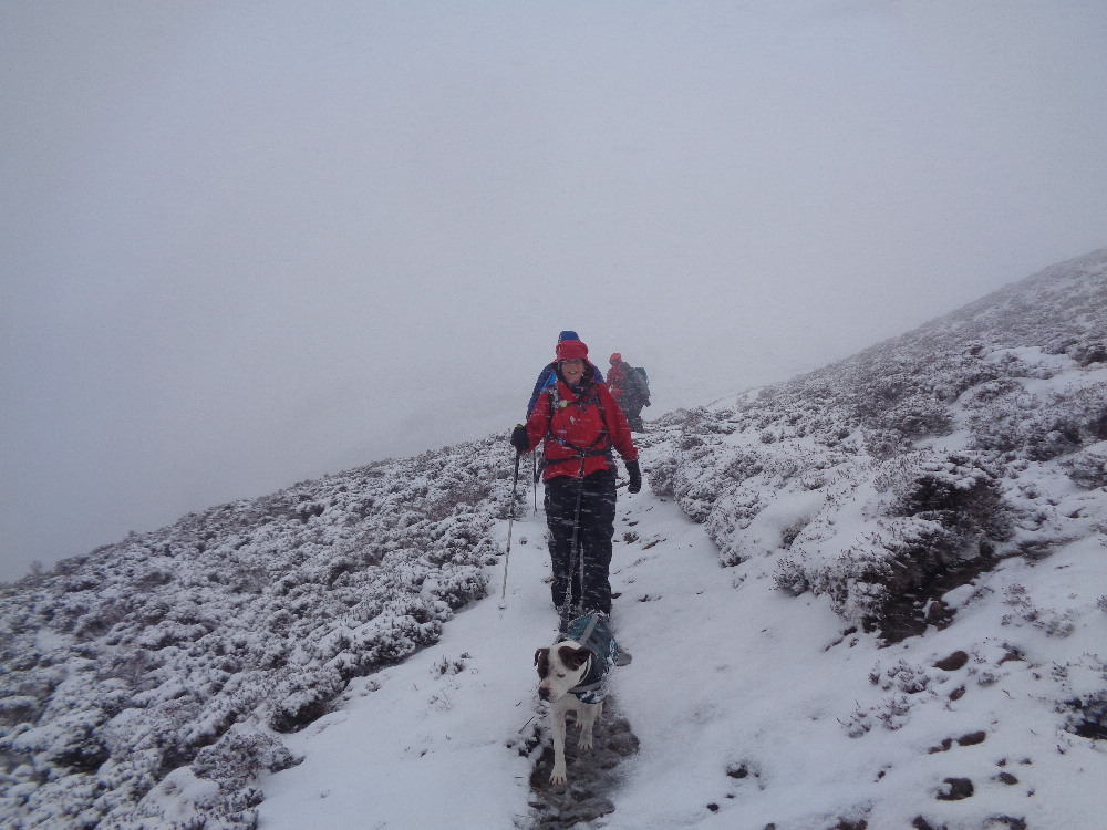 KnipeMike's tweet image. Crook and Weardale Ramblers do blizzards. (Fells above Newlands valley)