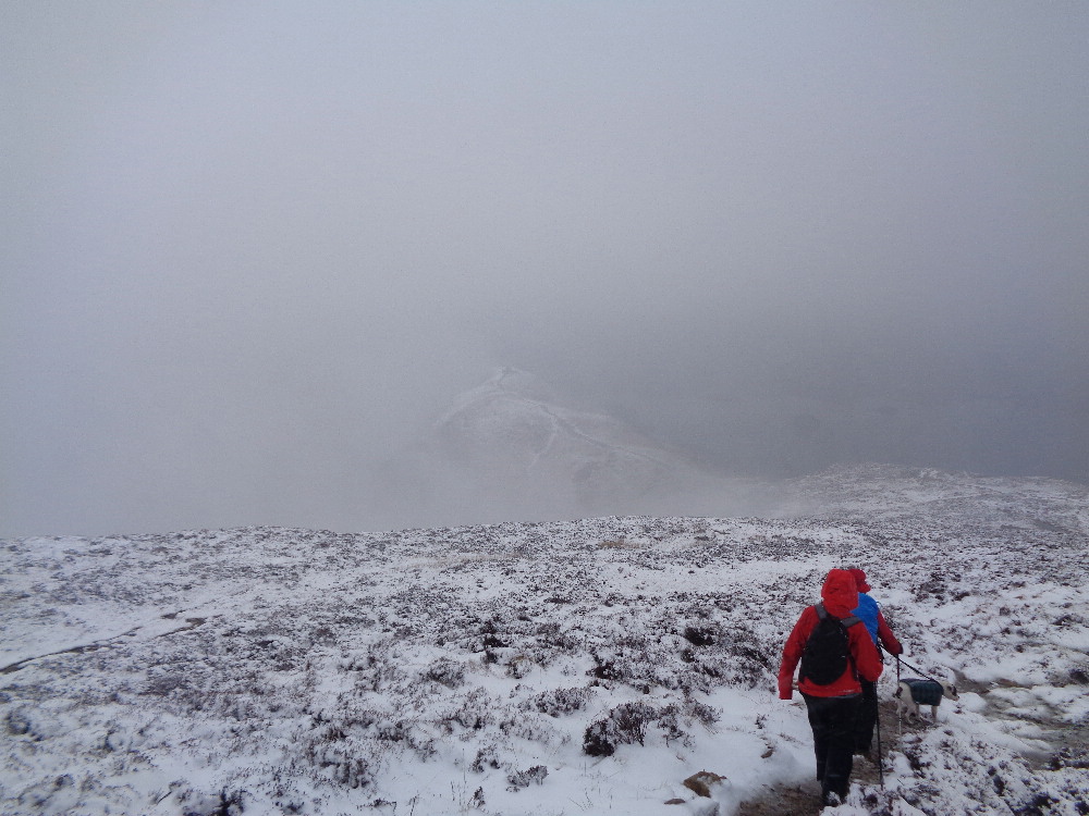 KnipeMike's tweet image. Crook and Weardale Ramblers do blizzards. (Fells above Newlands valley)