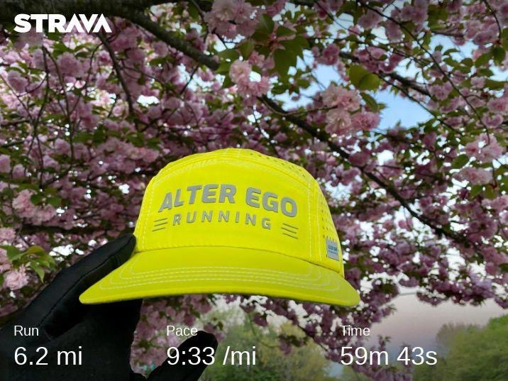 running_trav's tweet image. 10K to start the day😅 #1100in2023 #irun2023 #runnerdad #findyourbalance #AER2023 #AERteam #alteregorunning #honeystingerathlete #hshive  #brooksrunning #milestogo @AlterEgoRunning