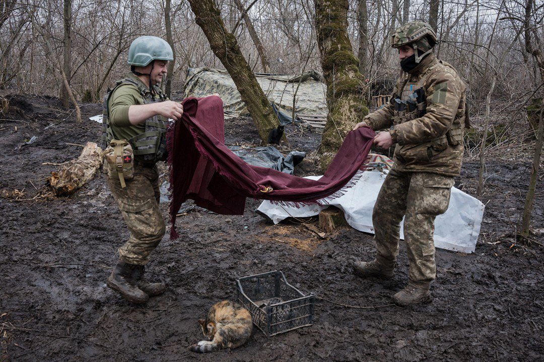 KyivPost's tweet image. ❤️‍🩹Ukrainian soldiers came to the rescue of a cat that gave birth to kittens right in the trenches.

They placed her in a bunker where she was able to give birth in safety and warmth. Despite difficult conditions, Ukrainian defenders find time to help the cat.

📷: Gaelle Girbes