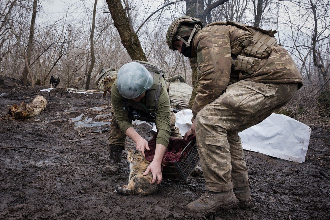 KyivPost's tweet image. ❤️‍🩹Ukrainian soldiers came to the rescue of a cat that gave birth to kittens right in the trenches.

They placed her in a bunker where she was able to give birth in safety and warmth. Despite difficult conditions, Ukrainian defenders find time to help the cat.

📷: Gaelle Girbes