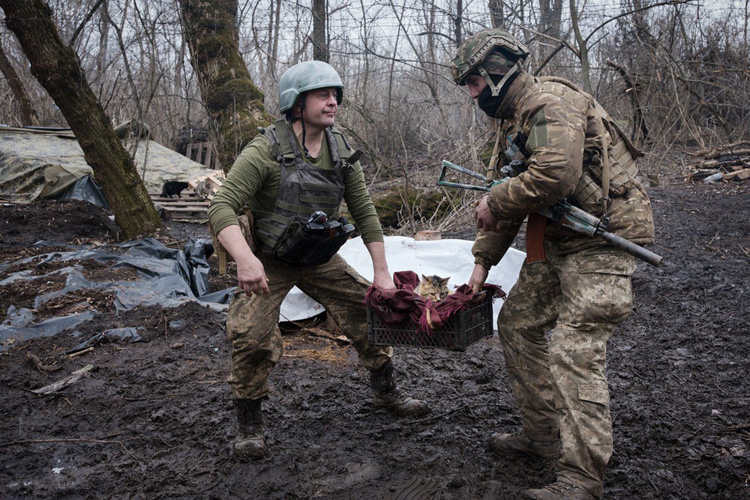 KyivPost's tweet image. ❤️‍🩹Ukrainian soldiers came to the rescue of a cat that gave birth to kittens right in the trenches.

They placed her in a bunker where she was able to give birth in safety and warmth. Despite difficult conditions, Ukrainian defenders find time to help the cat.

📷: Gaelle Girbes
