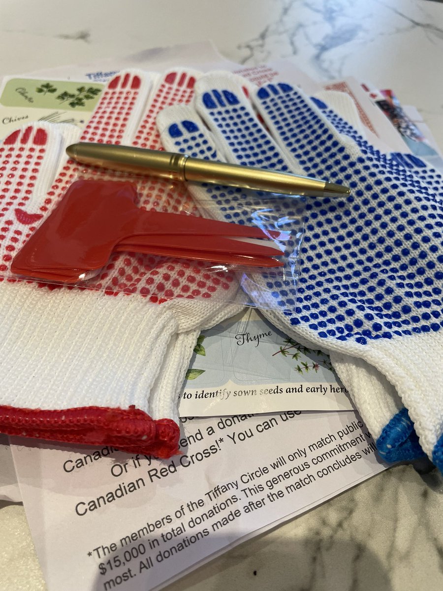 Julia Hanigsberg tweet media