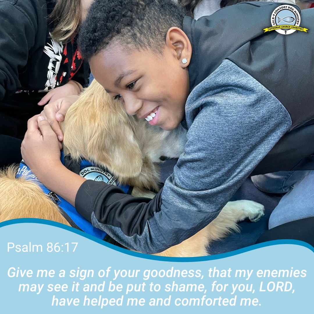 Amen! 

#lcck9comfortdogs