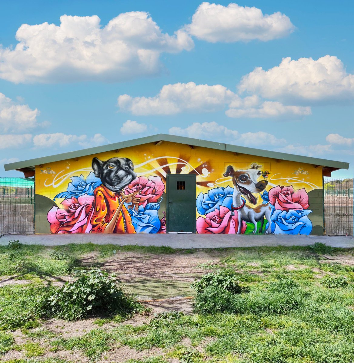 getafejoven's tweet photo. #ArteUrbano de lujo en Getafe para nuestro Centro de Proteccion Animal. Nks, Posy, Tras, y Skew, del programa #ExpressArte #GetafeJoven, han colaborado con #LYMA para animar a las mascotas huérfanas que buscan familia. ¿𝐎𝐬 𝐠𝐮𝐬𝐭𝐚 𝐜ó𝐦𝐨 𝐡𝐚 𝐪𝐮𝐞𝐝𝐚𝐝𝐨? https://t.co/wdUHaf7wXp
