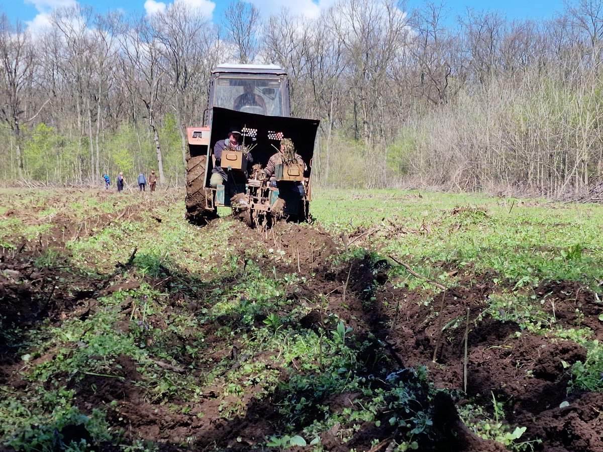 RNP_Romsilva's tweet photo. ℹ️ 🇷🇴 Lucrări mecanizate de #împădurire la Ocolul Silvic Brănești din cadrul #Romsilva

ℹ️ 🇬🇧 Mechanized #Afforestation works at Brănești #Forest District, Ilfov county, in #Romania   

#forests #nature #păduri #pădure #silvicultură #ForestryWorks #forestry #nature #natură https://t.co/BZZJbhx1wO
