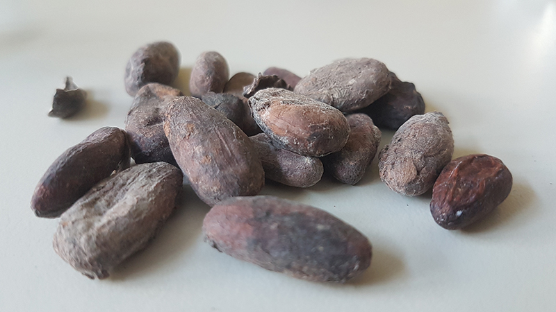 XRF techniques show much cadmium is contained in cocoa beans

spectroscopyeurope.com/news/xrf-techn…

#XRF #XRay #spectroscopy