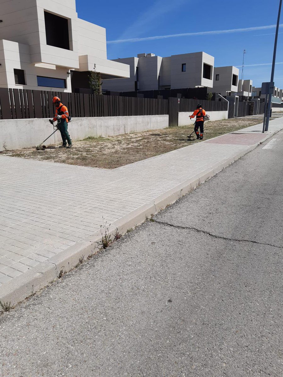 Ayuntamiento de Majadahonda tweet media