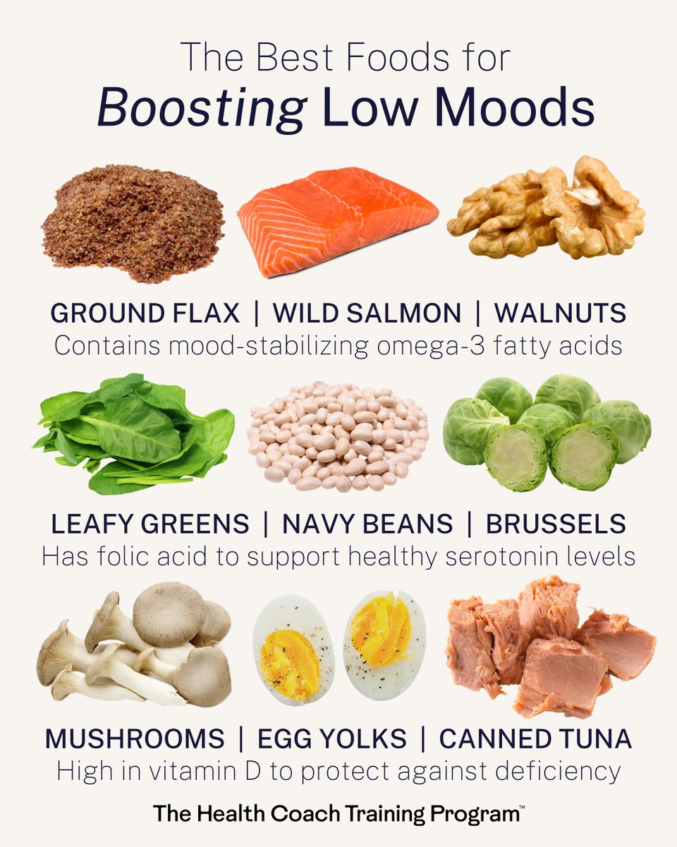 IntegrativeNutrition on Twitter "IIN's core Training Program contains