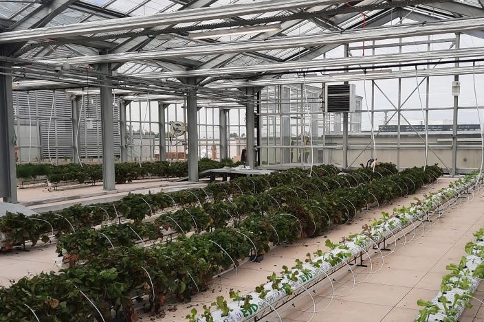 Equinix, the largest global data centre and colocation provider for enterprise network and cloud computing, has installed a rooftop farm at one of its sites that uses waste datacentre power to grow fruit and veg.
#Rooftopfarm
#Wastedatacentre
#Energypower

gmal.co.uk/waste-data-cen…