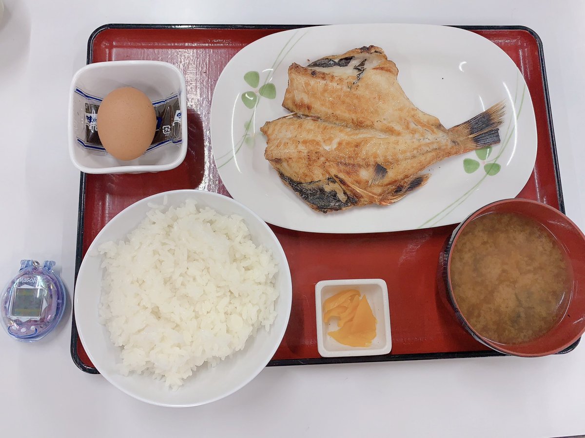 ヒモノ食堂withたまごっち🐟

今日の夜ご飯🌠

忙しくて、たまごっち育てれなくてずっと天使のままのたまごっちと過ごしてる🥹💦これぞ天使っち？笑