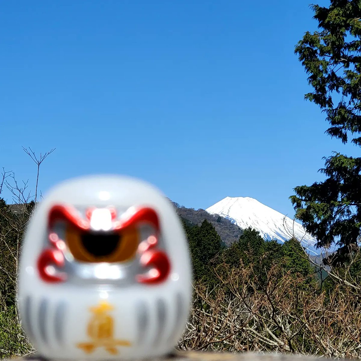 uegil2019's tweet photo. 😋😋😋😋
#日本美食之旅IV
#真頭達摩
#RHNFSS
#真頭不滅 
#希望遊戲
#リアルヘッド
#RxH
#realhead_mori
#realhead
#realxhead
#rxｈxｎxｄx
#uegil 
#乳豬蓮🐷 https://t.co/19Cs1uzX9E