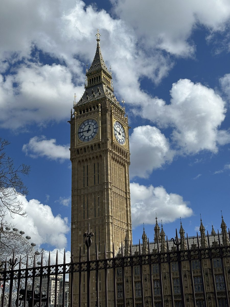 S Matthew Schultz tweet media