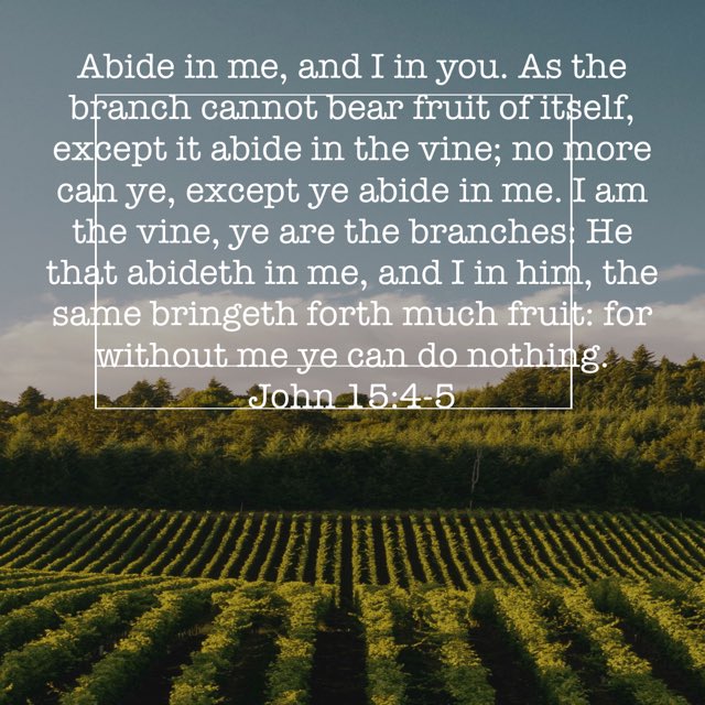 bible.com/bible/1/jhn.15…