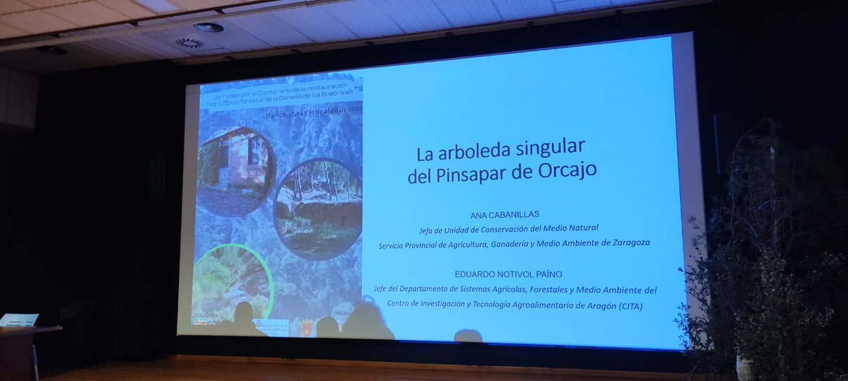 CITAAragon's tweet photo. 🗣️Eduardo Notivol, jefe del Departamento de Sistemas Agrícolas, Forestales y Medio Ambiente,
ha participado en esta jornada con la presentación:

➡️La arboleda singular del Pinsapar de #Orcajo https://t.co/ShseXp0J5c