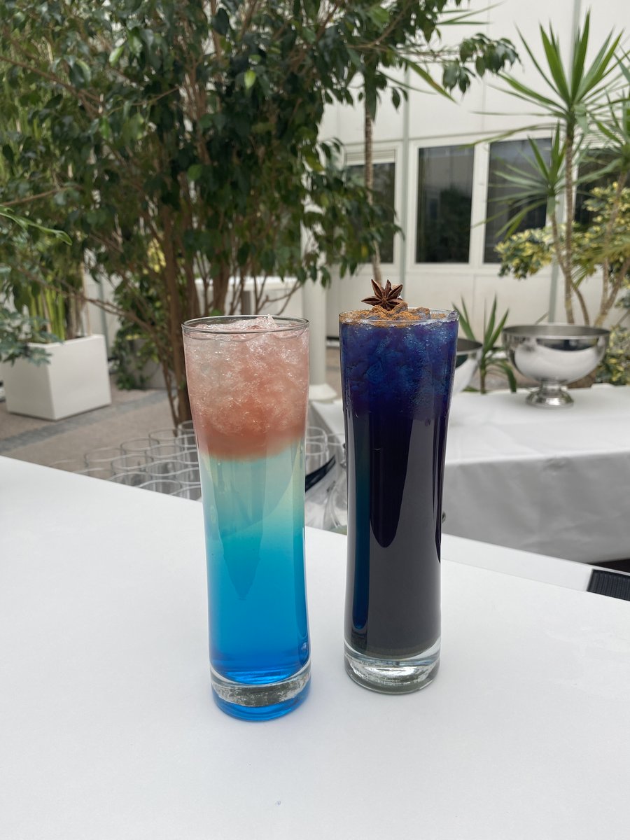 ESA's Juice mission on Twitter "We're starting our morning at the ESAJuice SocialSpace with a