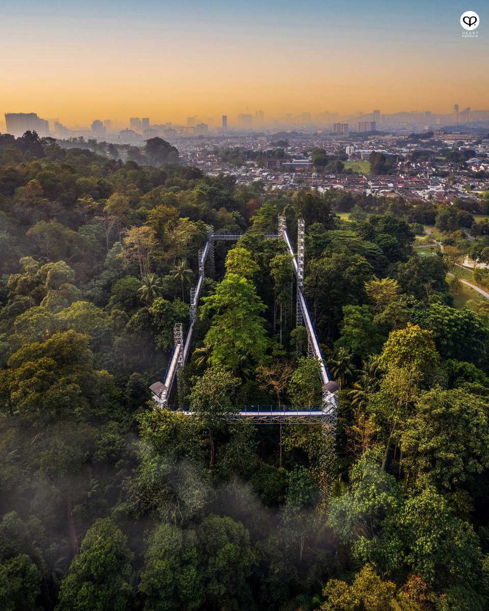 Heartpatrick tweet media