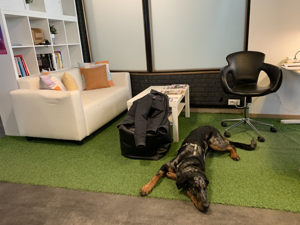 Le coworker du jour est arrivé ! 🐶
À votre avis, quel est son métier ? Informatichien ?
👉 numog.com/fr/

#coworking #coworkingspace #workspace #télétravail  #yonne