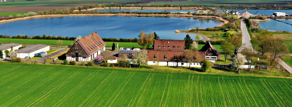 fischmaster_'s tweet image. 🍻fischmaster.net/vatertag-in-tr… 🍻Heute noch mal Essen und Trinken vom feinsten! Raus ins Grüne! 🐟 Kommt in unseren #Biergarten in Trebur! 🥰  ☀️ #Vatertag #Himmelfahrt #Ausflug #Radtour #Seafood #Bier #Familie #Darmstadt #Motorrad #Fahrrad #Hüpfburg