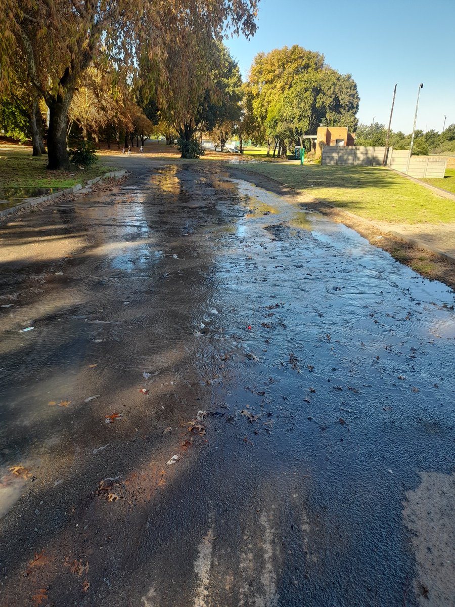 Delfos Cricket Club tweet media