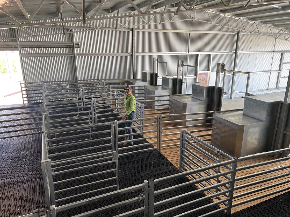 Jarrod Amery on Twitter "Fitted out our new shearing shed today with