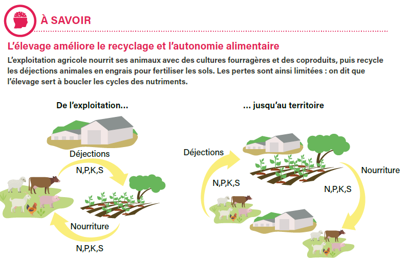 🚨 "Le bon état écologique des agroécosystèmes repose sur l’association entre l’animal et le végétal. L’élevage accroît les bénéfices environnementaux de l’exploitation agricole et maintient la fertilité des sols, ainsi que la vitalité socio-économique des territoires."
🐄🐖🐓🐐