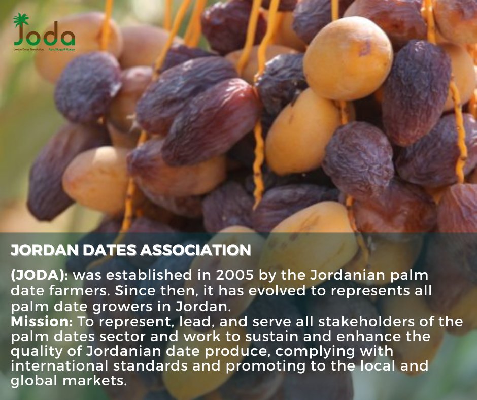 Josmeproject's tweet photo. The Jordan Dates Association will participate in the #MACFRUT 2023 exhibition taking place in Rimini, Italy from 3-5 May 2023. This participation is part of the JoSME project, which aims to enhance the cooperation and interaction between the Jordanian and Italian markets. https://t.co/nO4nzeGM1M