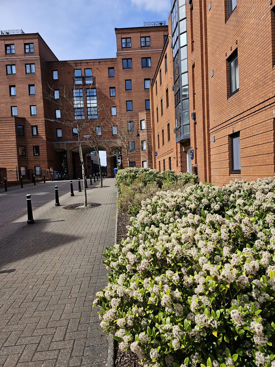 University of Strathclyde tweet media