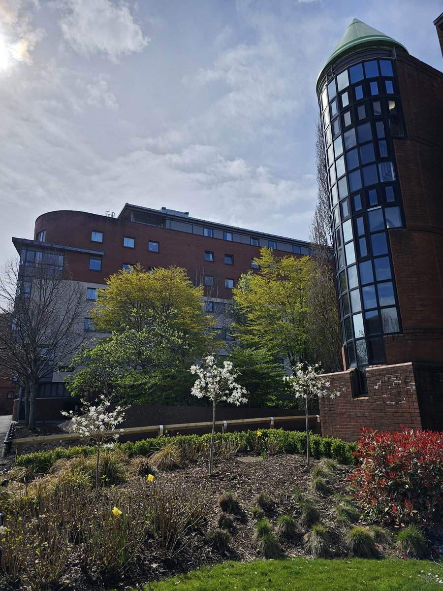 University of Strathclyde (@unistrathclyde) on Twitter photo A big shoutout to our <a href="/StrathEstates/">Strathclyde Estates</a> grounds and gardens team for always working hard to make sure our campus is looking beautiful! 🌸🌷🍃 #StrathLife A big shoutout to our <a href="/StrathEstates/">Strathclyde Estates</a> grounds and gardens team for always working hard to make sure our campus is looking beautiful! 🌸🌷🍃 #StrathLife