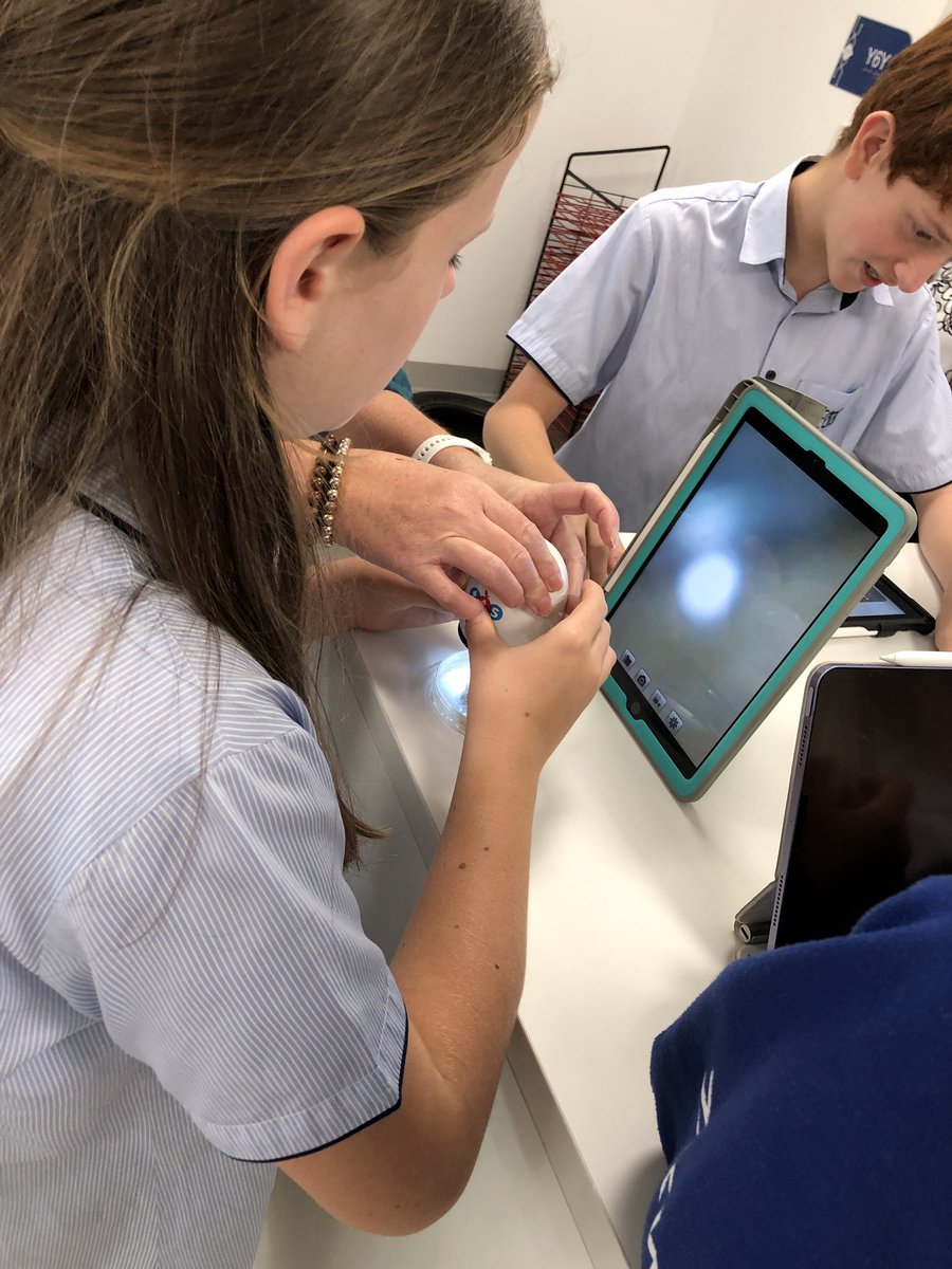 JESSPrimaryYR6's tweet photo. Creating our own investigations to see which conditions help mould to grow on bread.
#jesspriscience 
Today we used the digital microscopes to examine mould growing on cheese…will we see similar results on our bread?! https://t.co/YW0xFFKfAS