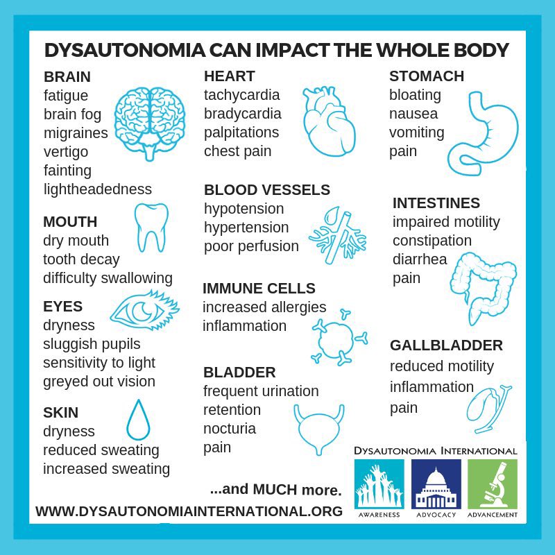 CaroleBruce17's tweet photo. #dysautonomia so often ignored in a #ME #MEcfs diagnosis. I wish I’d known about it years ago. I would have avoided so much worry and self-doubt. I was a sitting target for the snake oil vendors. https://t.co/W8XNcggIni
