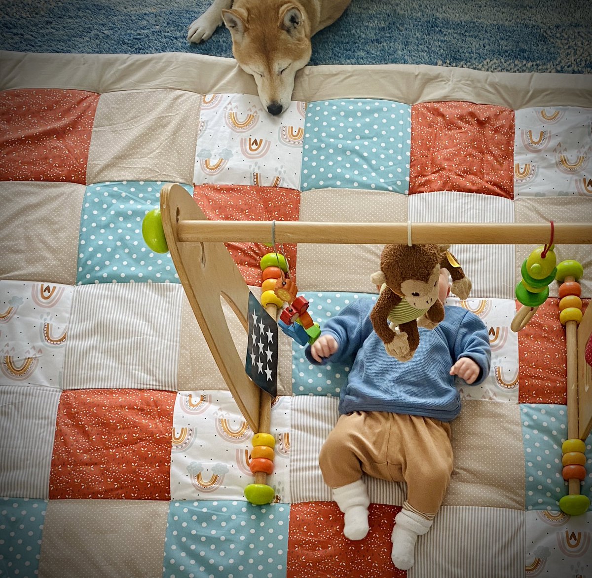 Mohrenpost's tweet photo. „Nein Fuchs, nicht auf die Babydecke!“   
„Nur die Schnauze Frauchen, bitte! Sie riecht so gut.“ https://t.co/rGq4X9VcJp