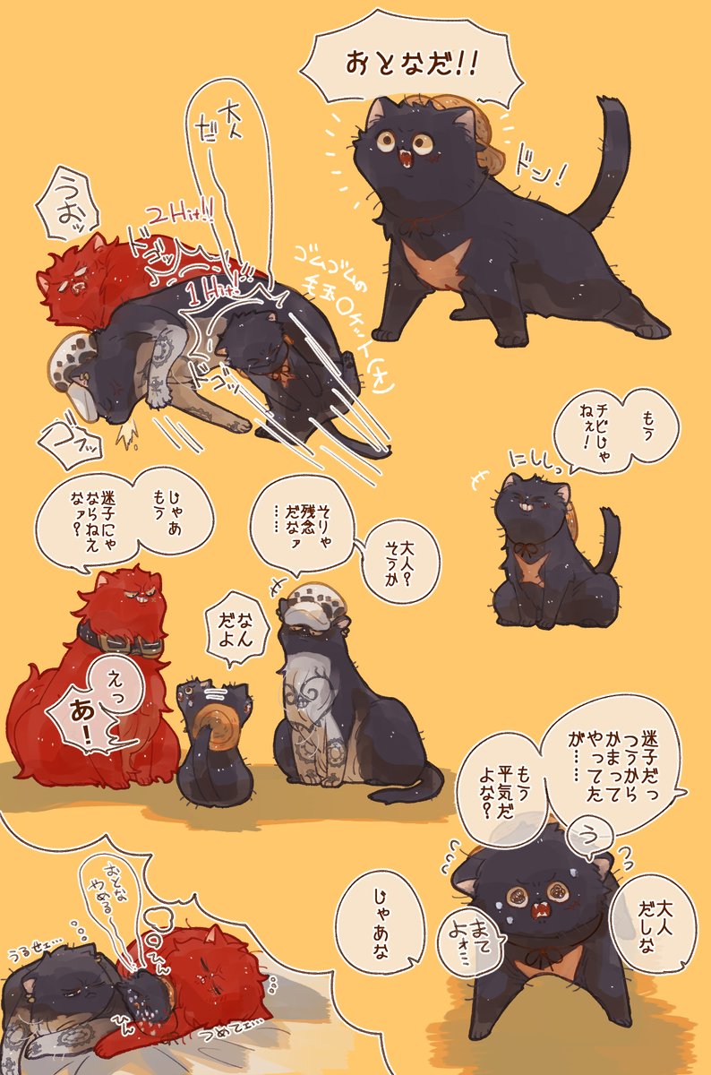 成長毛玉👒🐱 https://t.co/f71WGflCT8