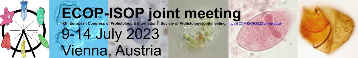 ParasitologiaM's tweet photo. #conference2023
#Parasite
IX European Congress of #Protistology & Annual Congress of the International Society of #Protistologists
✈️Vienna, Austria
⏰9-14 July 2023
🔗https://t.co/eWhRbrDVo8 https://t.co/IlKLNZGT4J