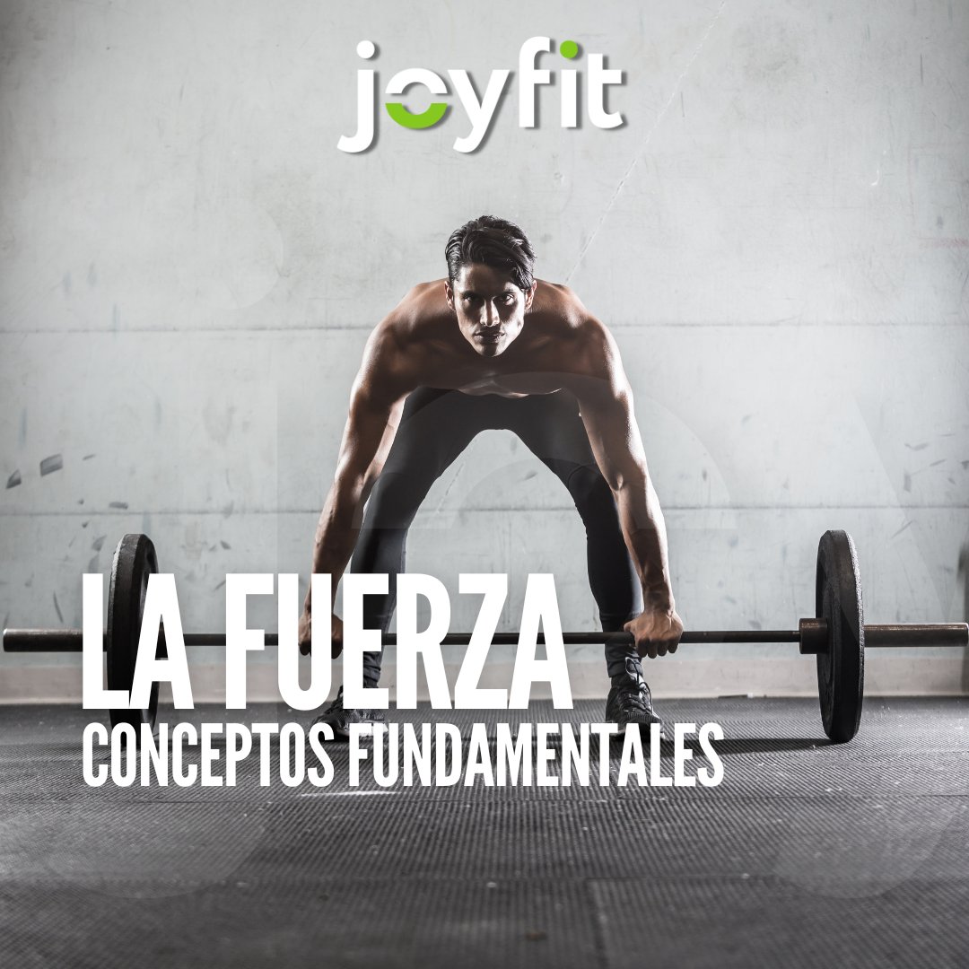JOYFIT3CANTOS's tweet photo. ¿A qué nos referimos con fuerza? 💪

Si quieres saber más visita nuestro blog:

https://t.co/ULCD3bBVo3

#JOYFIT #Fitness #Deporte #Fuerza
#TresCantos #sanse https://t.co/TB9uf8eTrR