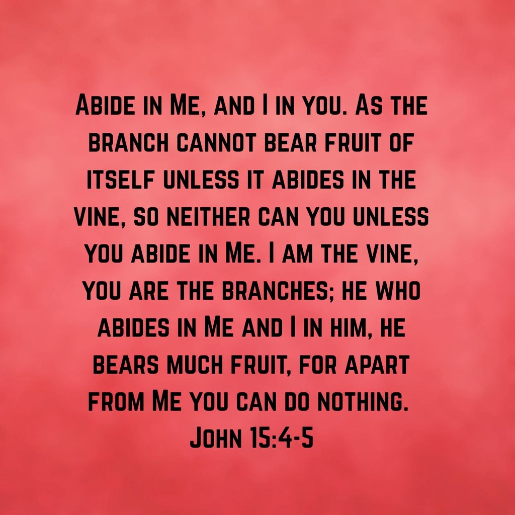 JLueStayTrue3's tweet photo. For us to produce much and good fruit we have to be one with Jesus. Without being one with Him, we cannot do anything. So, as we are #BornofJesus, let us make every effort to stay #LinkUpWitTheMostHigh. So we can be #KingdomBuilt, #GoldandSpiritMade, and always #StayTrue3 to Him. https://t.co/P4cQ2FeiSZ