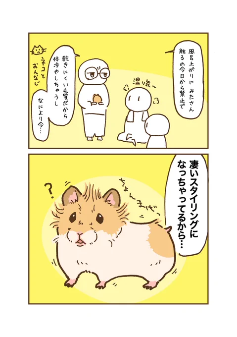 みんなも清潔かつ湿ってない手でハムスターを触ろうな!✋ 