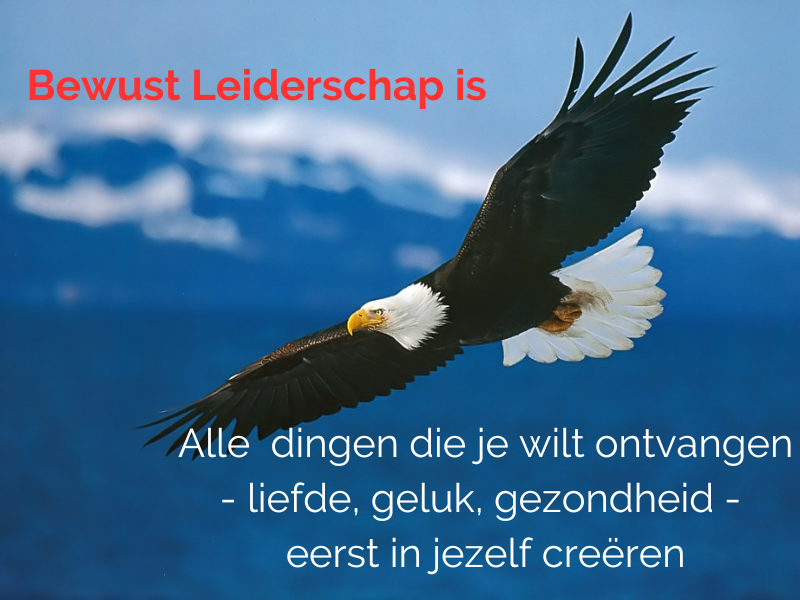 Johan Blom tweet media