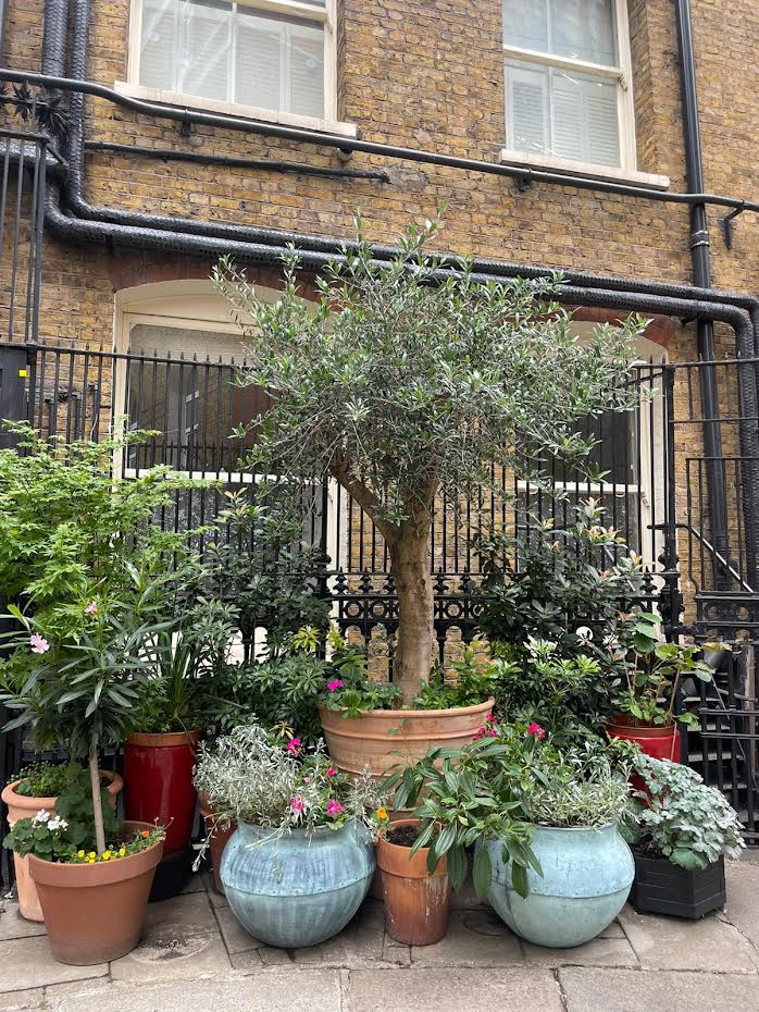 ActionFunder tweet media